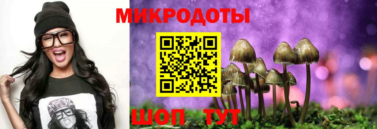 Приморско-Ахтарск  Галлюциногенные грибы GOLDEN TEACHER  Вход с VPN 